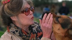 Ouverture de la chasse en Gironde : "Quand les chasseurs sont dans les  bois, le pyromane n'y est pas"