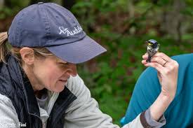 Some recent photos from Riverlands Migratory Bird Sanctuary in West Alton. 