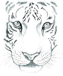 Pencil drawings are an outstanding reminder of just how influential and emotive a pencil can be as a tool for drawing. Drawing Ideas Animals Easy Happy Emotion