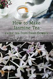 Are there _ oranges in the bag? How To Make Exotically Scented Jasmine Tea At Home