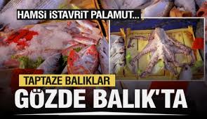 Isparta Da Taptaze Hamsi Palamut Levrek Lufer Hamsi Istavrit Gozde Balik Tezgahlarinda Detaylar Icin Tiklayin