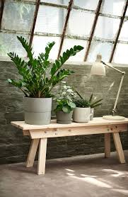 Zamioculcas Pflanze Zamioculcas Alle Information Zum Produkt Erhalten Ikea Osterreich Pflanzen Dekor Pflanzentisch Zimmerpflanzen Ideen