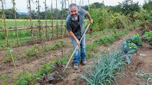 Wie beschreibe ich meinen garten? Doku Reihe Uber Gartenleidenschaft Lecker Ernten Kommunikation Der Swr Swr