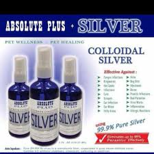 Colloidal silver is a natural antiviral and antibacterial agent. Absolute Plus Colloidal Silver Spray 118ml Pet Supplies For Cats Health Grooming On Carousell