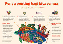 • kita semua harus akur bahawa sungai memberikan kepentingan dalam kehidupan manusia. Iw Learn Documents Marine Turtles Are Important Bahasa Indonesia