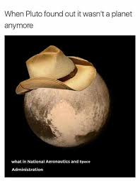 It Looks So Shocked Really Funny Memes Funny Memes