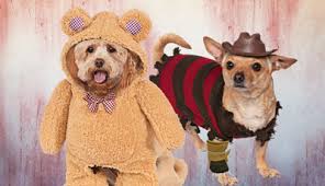 Sumo wrestler costume for dogs. Costumes For Halloween Carnival Buy Online Now Horror Shop Com