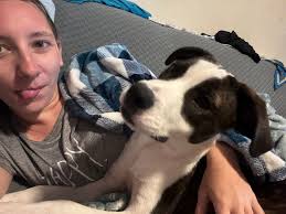 Rehoming a loving dog in Waterloo