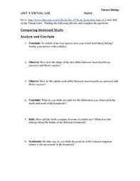 Each virtual lab gets students to. Biology Lab Teaching Resources 49 72