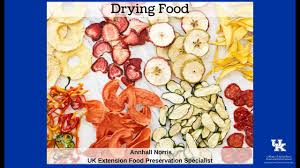 نتیجه جستجوی لغت [drying] در گوگل