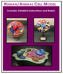 Check spelling or type a new query. Animal Cell Model Worksheets Teaching Resources Tpt