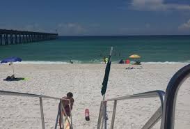 The lugworm or sandworm (arenicola marina) is a large marine worm of the phylum annelida. Sea Lice Update Pensacola All Clear Latest Beach Conditions For Gulf Shores Panama City Destin Al Com