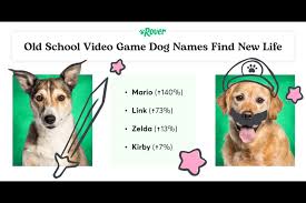 Image result for Recreation Pets Dogs Names