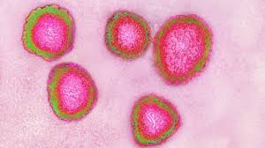1st Known Case Of Coronavirus Traced Back To November In China Live Science