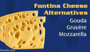 There Are So Many Varieties Of Cheese That Have Been Developed Over Time Using Differing Procedures That It I In 2020 Fontina Cheese Substitute Fontina Cheese Fontina