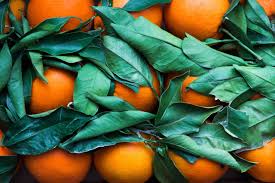 I've been using nk for about a month now and i love it! Updates To Curbside Grab Go Meals Central Kitchen