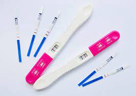 The Blank Pregnancy Test And Its Results Kingdom Of Baby