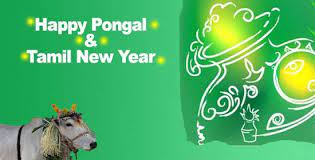 Tamil New Year And Pongal Wishes Pongal Scraps Pongal Greetings Pongal Graphics Pongal Images Pongal Photos And Pictures Pongal Musical Scraps Pongal Animated Flash Scraps Wallpaper Mobile Wallpaper