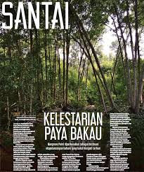 Akar paya bakau menyediakan sistem penapis untuk mengalirkan bahagian di dalam kawasan hutan. Kelestarian Paya Bakau Pressreader