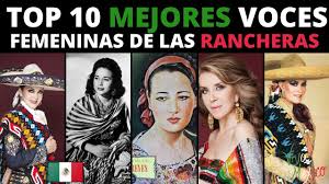 We did not find results for: Las 3 Rancheritas Novocom Top