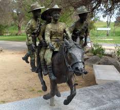 Pin On Light Horse