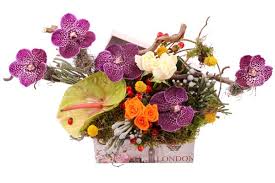 La multi ani, ionela târlea! Blog La Multi Ani Petruta La Multi Ani Paula