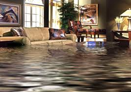 Carpet cleaning in Linden Michigan