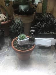 How do you get cactus spines out of gloves? How To Handle Cacti For Repotting Succulents