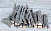 24 Hickory Wood Stick Tree Branch Wand Nature Decor Craft Supply 3 ...
