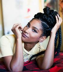 Box braids hairstyles are very popular among african american women. 55 Inspirational Jumbo Box Braids To Rock Style Easily
