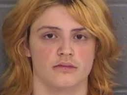 Chilling texts Georgia students sent to family as teen opened fire