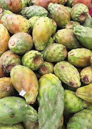 When i started with the keto diet i was surprised that so many. How To Eat Prickly Pear Cactus Fruit Video Prickly Pear Cactus Prickly Pear Pear Fruit