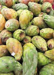 How to prepare prickly pear cactus fruit? How To Eat Prickly Pear Cactus Fruit Video Prickly Pear Cactus Prickly Pear Pear Fruit
