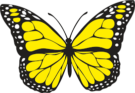 kupu kupu hitam putih 2400x1650 png clipart download kupu kupu hitam putih 2400x1650 png