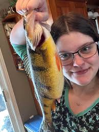 Yooo this is going to be so fire 🔥