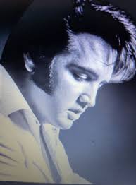 Theo Bakermans updated his cover photo.