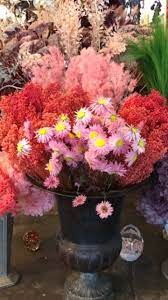 Dried And Preserved Flowers How To Preserve Flowers Asparagus Fern Flowers