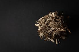 Image result for Adiantum incisum