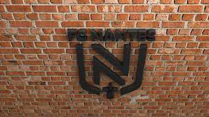 Every purchase you make puts money in an artist's pocket. Fc Nantes Logo Print Ready 3d Model