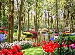 Spring summer meadow with green grass, flowers and butterflies. Download Free Flower Garden Wallpaper Gallery