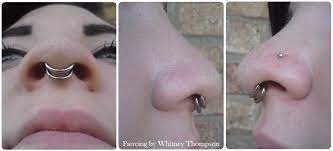 Double Nose Piercing And Septum Nostril And Double Septum Piercings Pinterest
