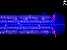 Image result for TEMA type BFU shell and tube heat exchanger