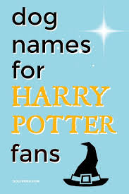 Harry Potter Dog Names Magical Names For Your New Dog Dog Names Boy Dog Names Harry Potter Dog