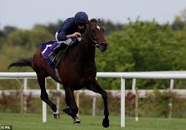 Daryl carter gives his thoughts on the contenders for the epsom derby. 8chhopqvd9md9m