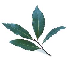 Some will insist the flavor will suffer. Bay Leaves Ingredient Finecooking