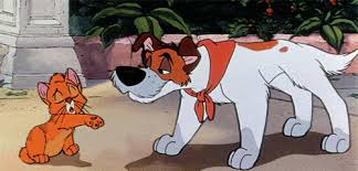 Traditional animation, 120 drawings overall, i believe its 30 fps. Oliver And Company Oliver Twist Disney Amino