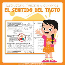 ?️EI sentido del tacto - Estructura, función y cuidados - 4to de  primaria? | Material de Aprendizaje