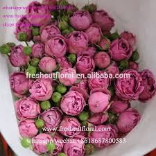 Get great deals on ebay! Professional Wholesale Fresh Cut Flowers Like The Fresh Cut Roses Fresh Cut Spray Roses Buy Fresh Cut Rose Flowers Fresh Cut Flowers Pictures Fresh Cut Flowers Product On Alibaba Com