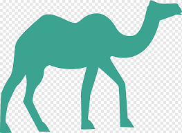 There are only three species of camels, the dromedary camels, bactrian camels, and wild bactrian camels. Camel Desert Green Desert Camel Horse Mammal Animals Png Pngwing