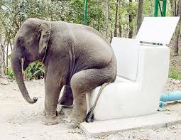 Gerelateerde afbeelding